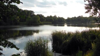 A beautiful summer weekend day, an obligatory bike, but... - My Actifit Report Card: July 15 2023