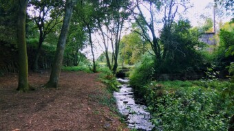 Trip to Portugal - Explore new paths in Sta Justa