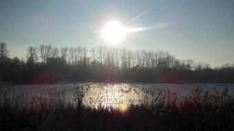 Very foggy until noon, and then beautiful sun - My Actifit Report Card: Janures 19 2025