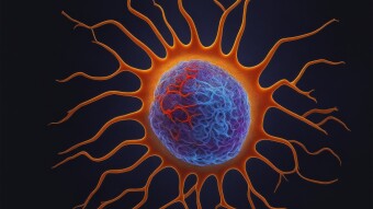 Overview on cancer