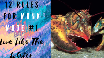 12 Rules of Monk Mode #1: Live Like The Lobster