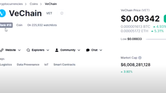 NEXT BIG CRYPTO | April 2021 | VeChain (VET) | The Future of Logistics