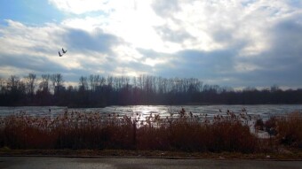 Spring Tuesday, but will it last? - My Actifit Report Card: February 10, 2026