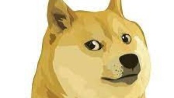 The dog behind Dogecoin passed away & Musk once more made trading surge