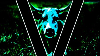 Rindermesse | Fresh Meat for Your Ears