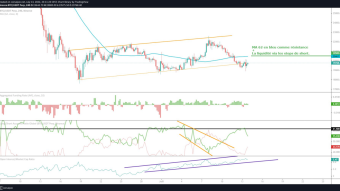 BTC Down trend domination but a possible bear trap before!!!