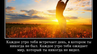 8 апреля - праздники и исторические события дня