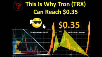 This Is Why Tron (TRX) Can Reach $0.35