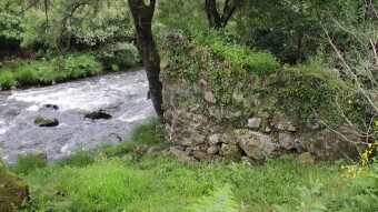 Trip to Aldeia de Couce - Serras de Valongo | Portugal