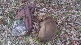 Controlled Burns and The Hunt