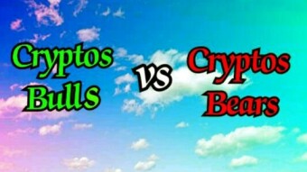 Cryptos Bulls Vs Bears Today 19/01/2020