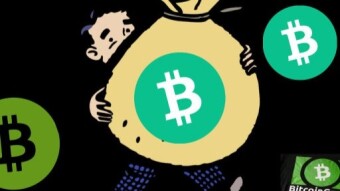 Accumulate as much Bitcoin Cash as you can.