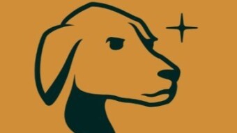 Kudos to Tally-Ho: Community Ownership Over Centralized Profiteering - (Take that Metamask!)