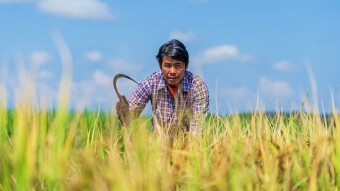 Harvest Hack in Other Words