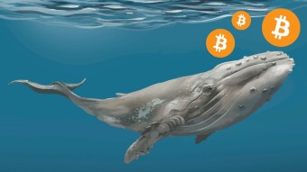 July 2020 will be a historic month for Bitcoin: BTC whale activity confirms this!