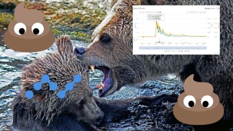 Nano: A Sh*tcoin? Micro Value, Big Bear