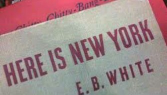 The Riddle of E.B. White’s "Here is New York" and Architecture - A Narrative Essay