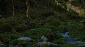 Using Sound Generators to Boost Your Workflow and Productivity!