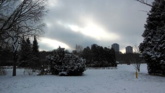Saturday cloudy with a slight thaw - My Actifit Report Card: January 24, 2026