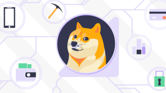 Dogecoin Review 2020