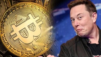Bitcoin it grows like dough by leaps and bounds! I'm telling you clearly what's going on.