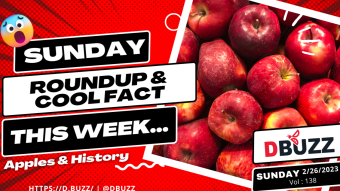 Recap of this Week's Posts by D.Buzz Vol.138