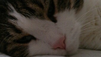 Hab noch ein paar Fotos vom Murphy gefunden