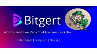 Will Bitgert (BRISE) become the new Solana?