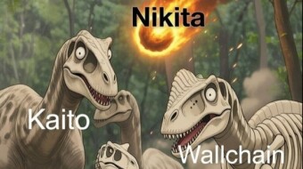 HeyElsa Pulls A Switcheroo On Wallchain Quackers