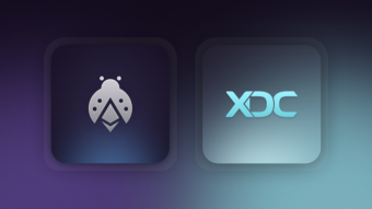 Boost Your dApp with Etherspot: Account Abstraction and Web3 Auth on XDC Network!