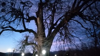 Have a Morning Stroll | a New Route & an Unusual Tomb ahead