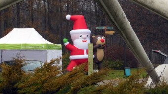 Official launch of the eco-Christmas tree, red eco-pistil and evergreen birch - My Actifit Report Card: December 3 2022