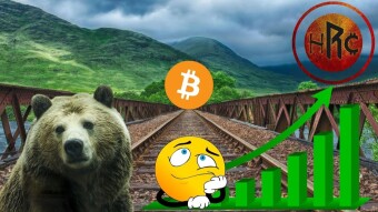Come Fare Soldi nel Bear Market!?