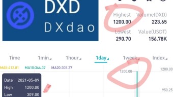 DXdao's FUTURE⁉️