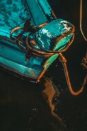 Is USDTether back in the hot seat despite unwavering popularity among crypto traders?