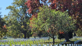 Arlington National Cemetery 9 of 26