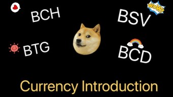 BCH.BSV.BTG.BCD  basic introduction