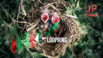 My Trading Experience with Loopring DEX (Loopring.io)