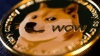 10 Ways to Get FREE Doge Instantly