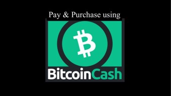 I used BitcoinCash to pay for a domain transfer