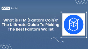 What is FTM (Fantom Coin)? The Ultimate Guide To Picking The Best Fantom Wallet