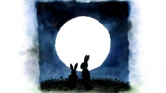 It’s rabbit time!