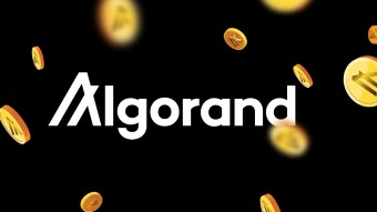 Earning Algorand with Algorand (Algo) Mobile Wallet.
