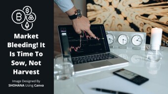 Market Bleeding! It Is Time To Sow, Not Harvest