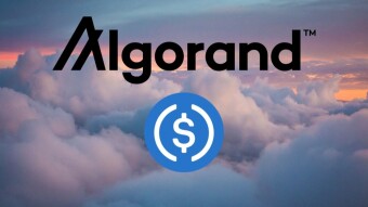 USDC supported on Algorand Blockchain, ALGO price increased by 20%
