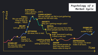 Human behavior in the price interference of cryptocurrencies