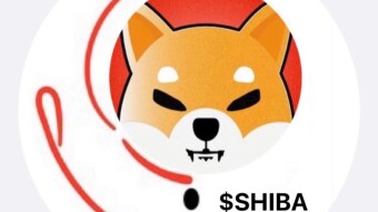 The DOGECOIN Killer⁉️⁉️