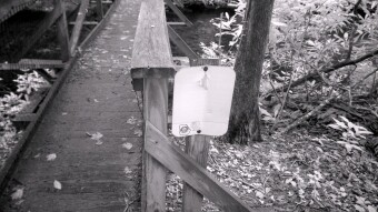 Signs in the forest - Infrared Photography