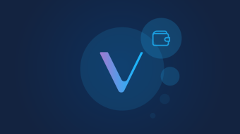 Best VeChain Wallet In 2021