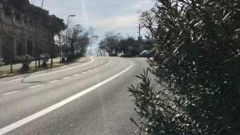 Doggy Run